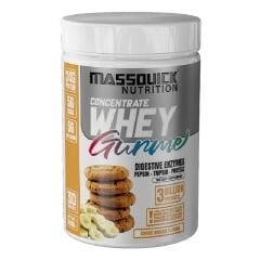 Massquick Gurme Whey Protein 960 Gr